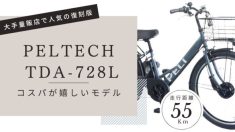 PELTECH TDA-728L