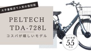 PELTECH TDA-728L