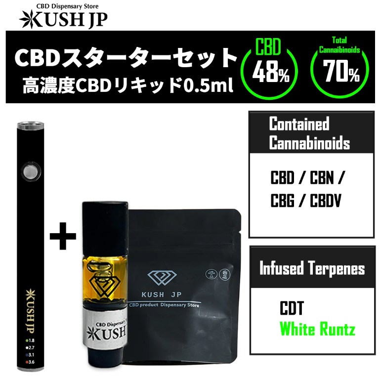 初心者