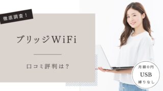 ブリッジWiFi
