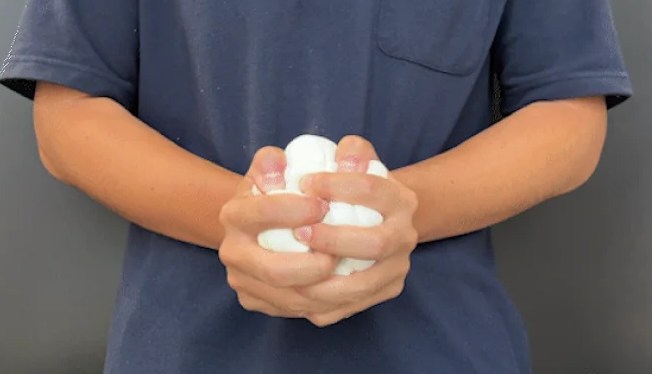 エコヘルスピロー