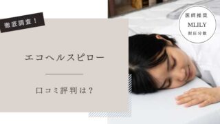 エコヘルスピロー　口コミ評判