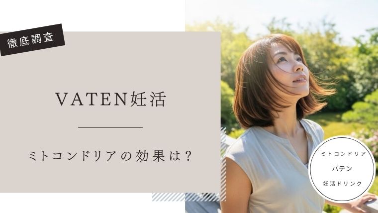 VATEN　口コミ評判